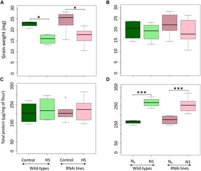 Prolamin Content and Grain Weight in RNAi Silenced Wheat Lines Under Different Conditions of Temperature and Nitrogen Availability